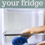 Scrubbing the fridge with DishFish scrubber