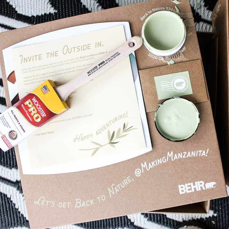 Invite The Outside In paint with a paint brush - 2020 BEHRBox