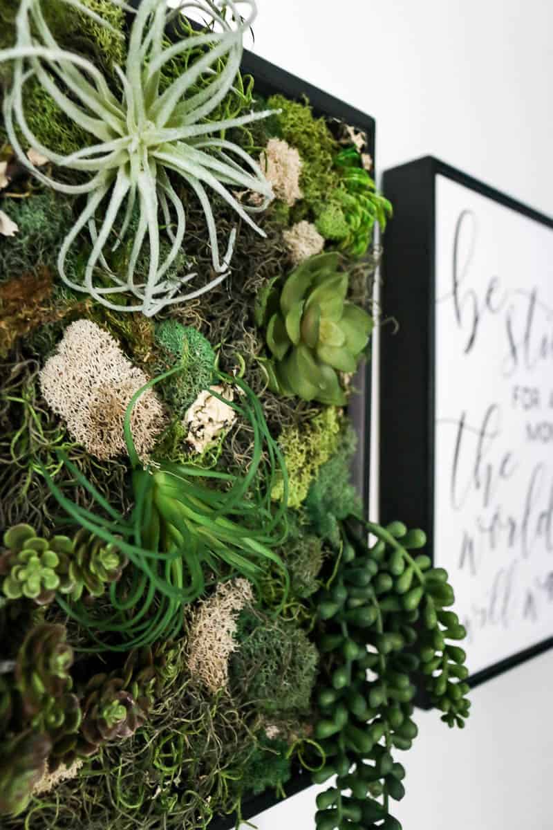 A closer look at some of the fake succulents and moss used in our DIY fake succulent wall decor.