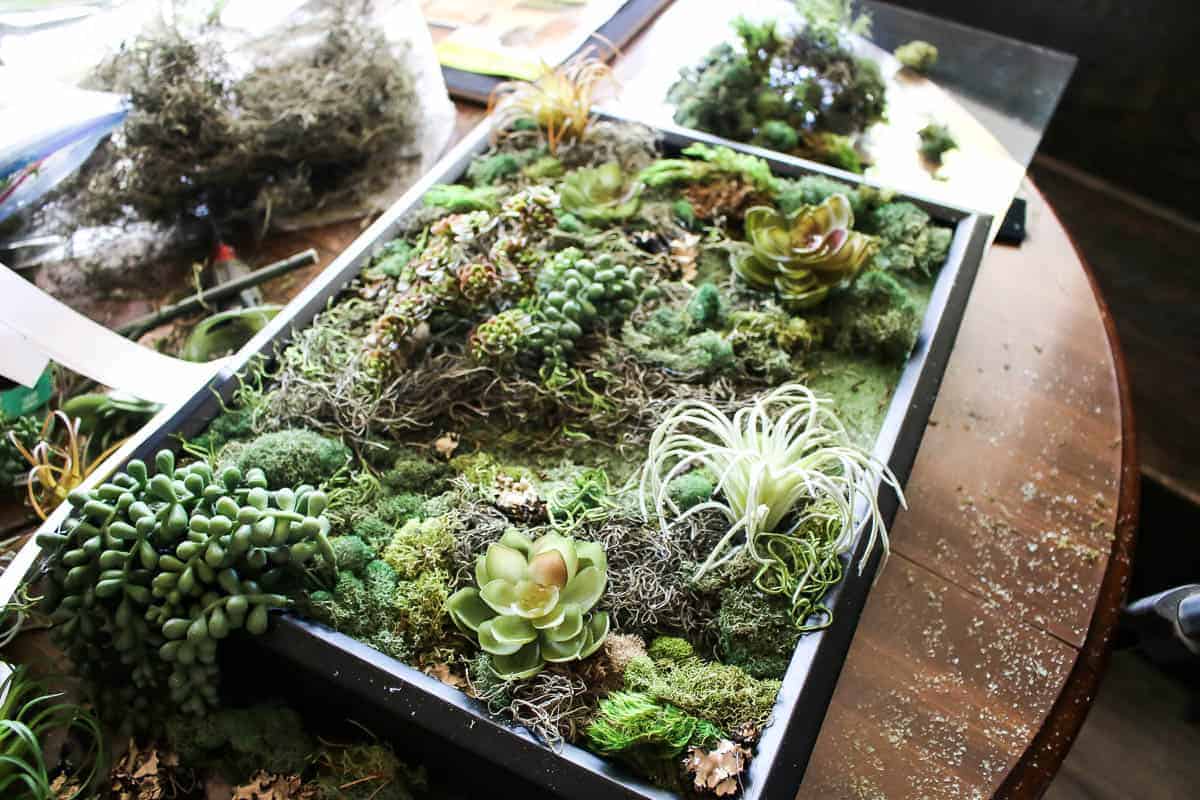 the process of creating fake succulent wall decor - placing faux succulents, moss and greenery into floral foam in a black-framed shadow box.