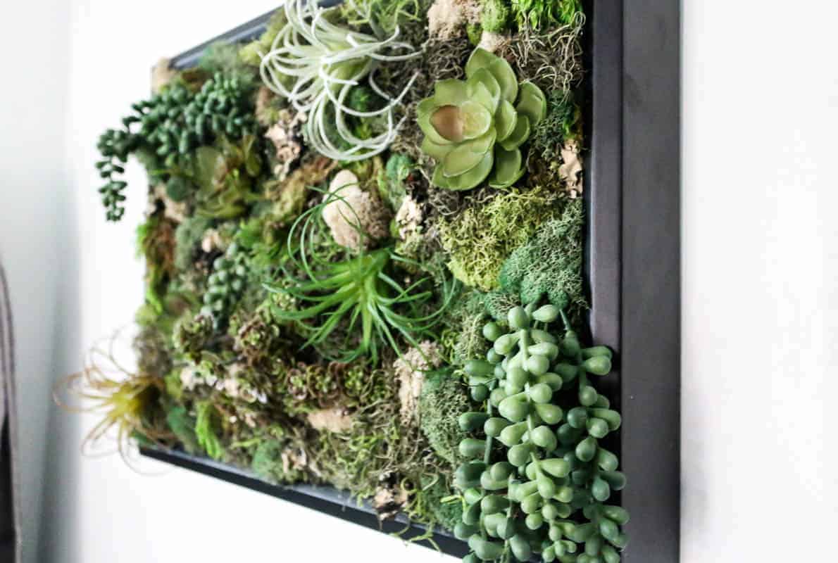 The completed black-framed shadowbox succulent wall decor, filled with faux succulents and moss.