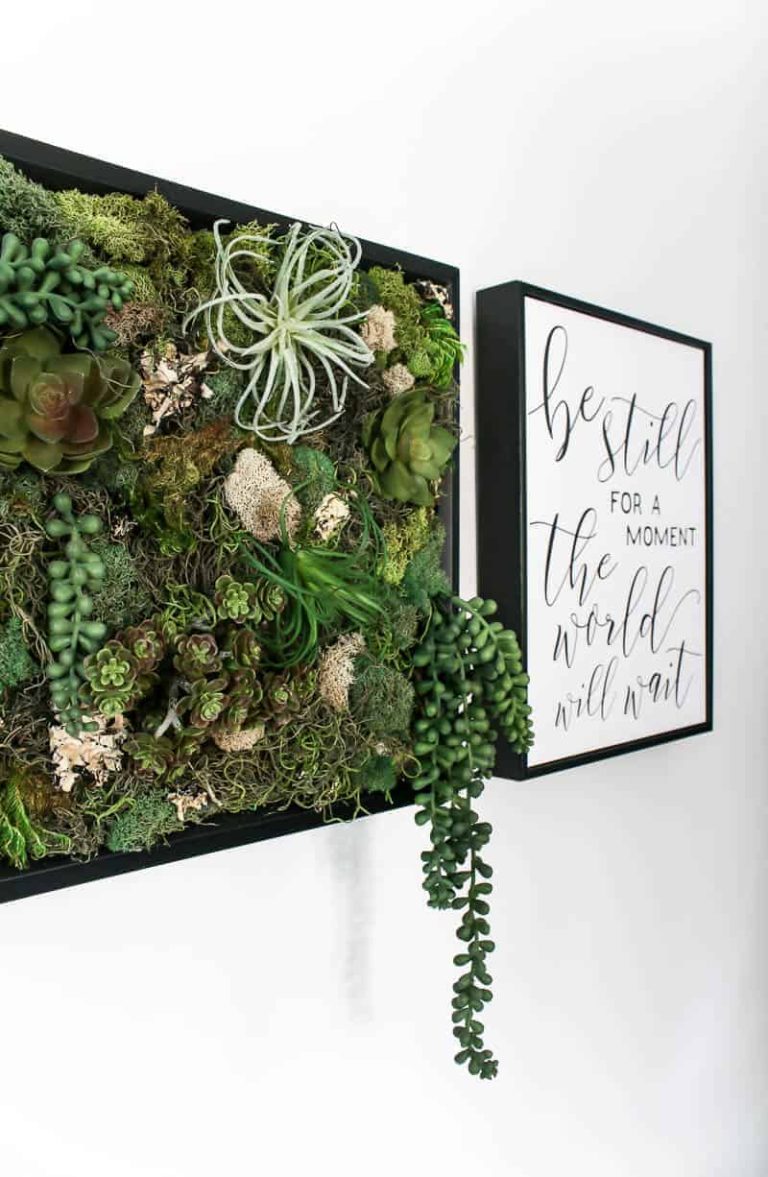 DIY Fake Succulent Wall Decor