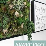 Succulents in frame with preserved moss and airplants in a black frame hanging on a white wall with text overlay that says super easy succulent wall art