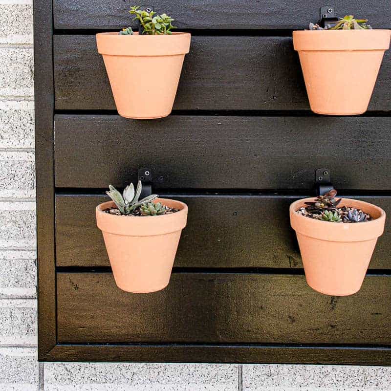 Small terra cotta planters hanging on a wooden planter wall