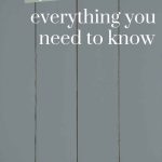 shows a picture of a vertical shiplap wall with overlay text that says DIY Shiplap everything you need to know
