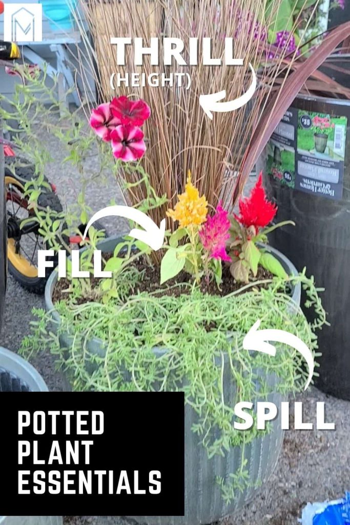 We added potted plants to our new cozy patio to give a touch of fresh green color. These plastic pots are perfect for potted plants, with extra room for water and soil.