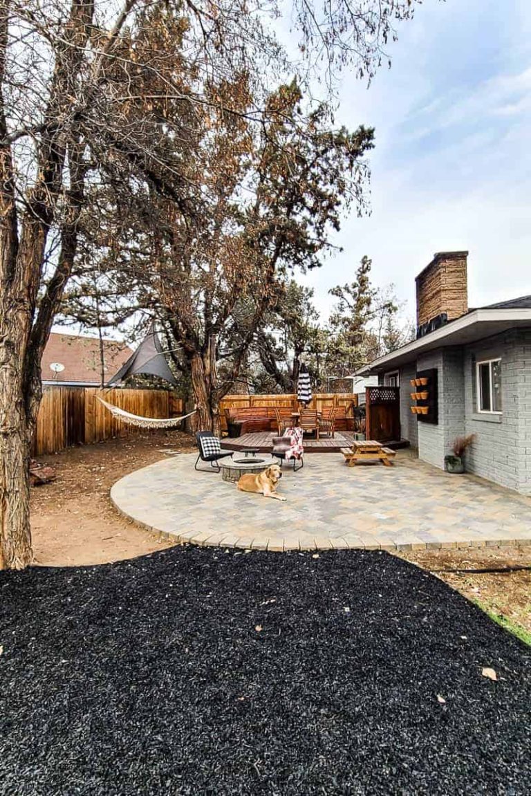 Our Backyard Makeover Before and After Pictures