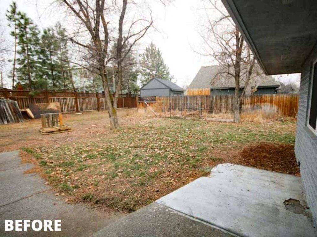 shows another angle of the backyard before renovation 