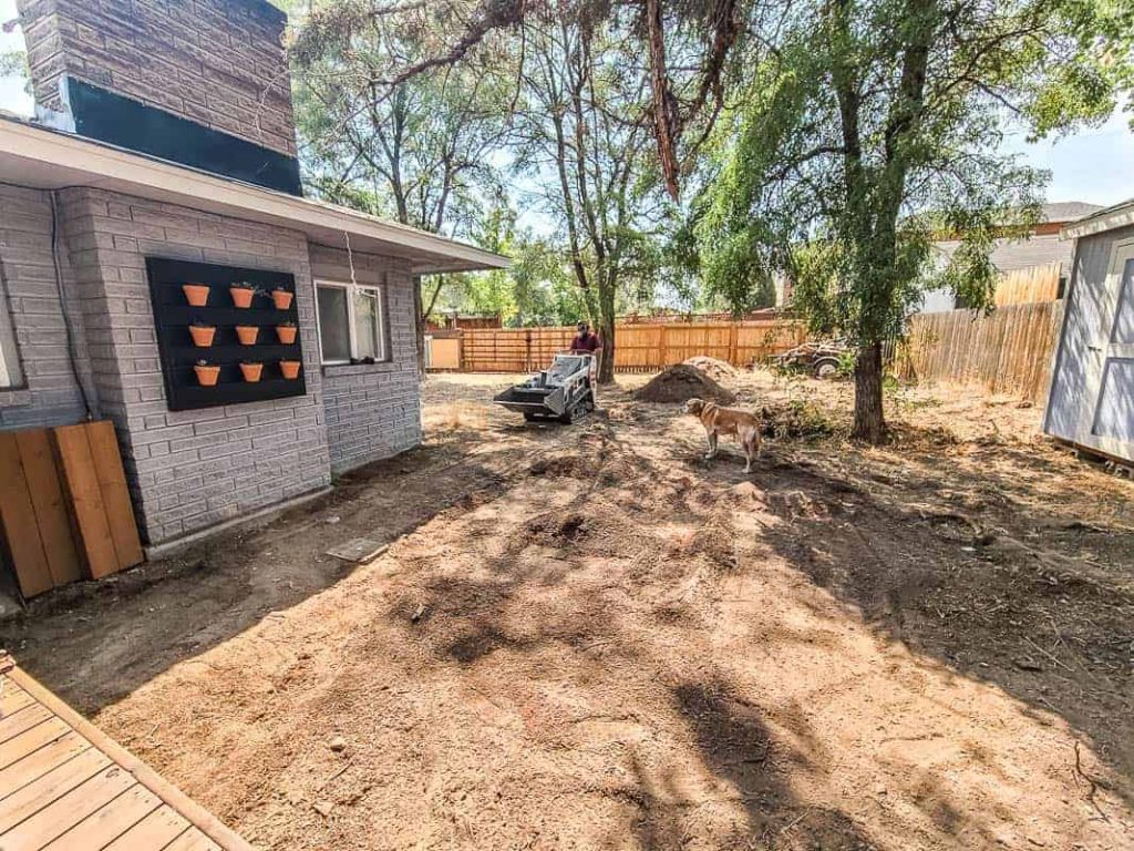 yard being leveled flat with a mini track loader