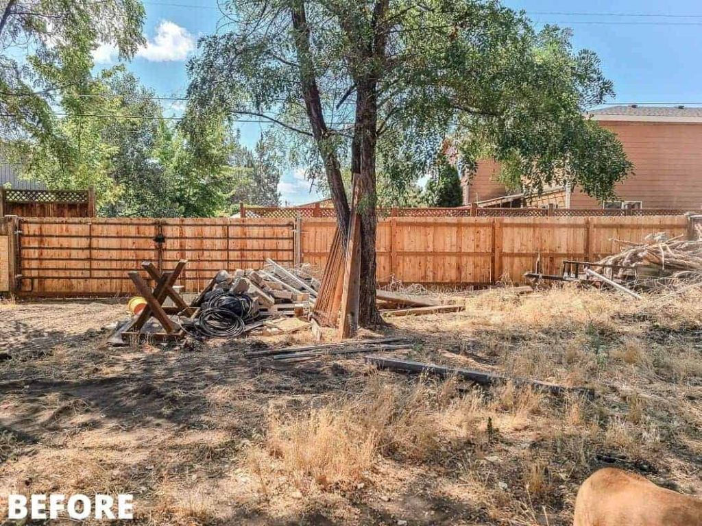 shows a before picture of backyard with dead weeds and trash