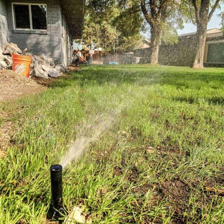 How To Plant New Grass