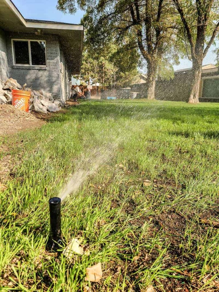 New grass being watered with sprinklers