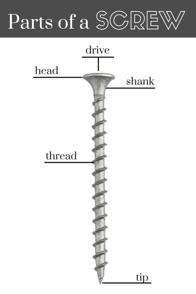 Types of Screws: A Complete Beginner's Guide - Making Manzanita