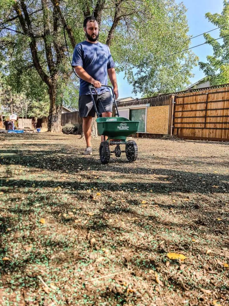 How to Plant Grass Seed