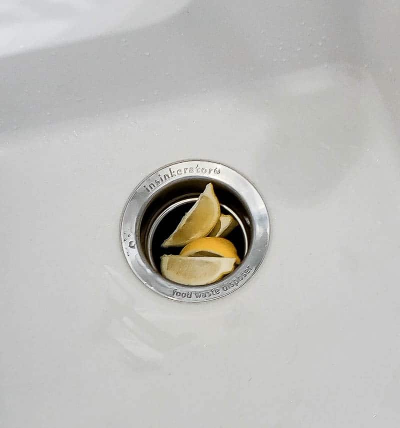 A close up image of of a garbage disposal with lemon wedges sitting in the drain opening.