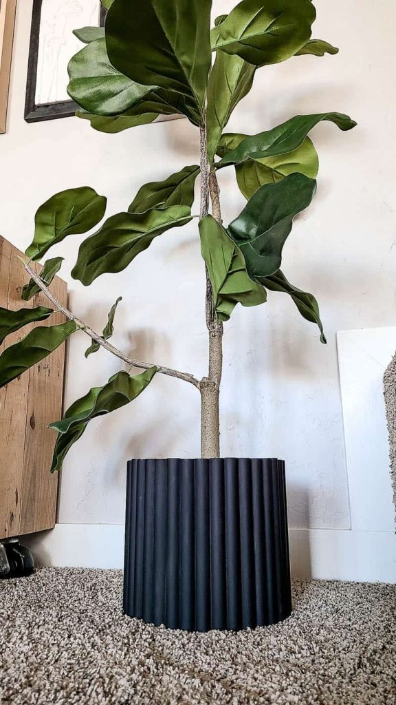 shows tree with a black fluted textured planter