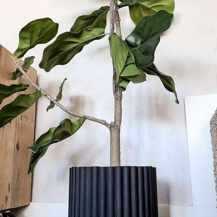 shows a fluted textured plant cover with a tree in it