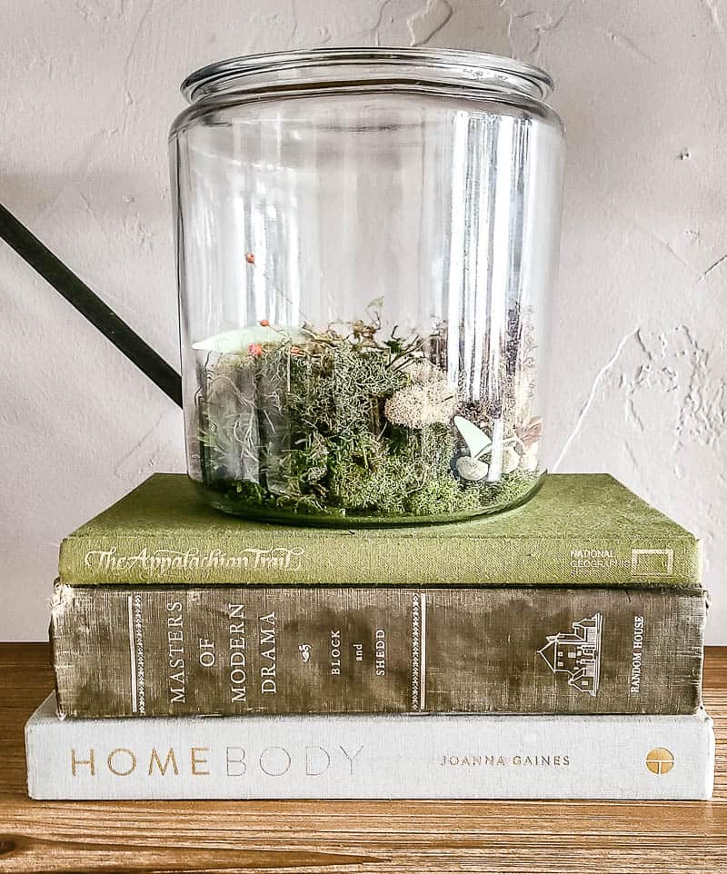 A glass container filled with moss and rocks sits atop of stack of vintage books.