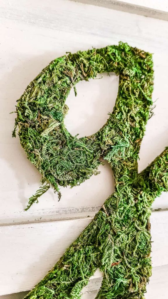 A very closeup image of the letter G cut out from preserved sheet moss.