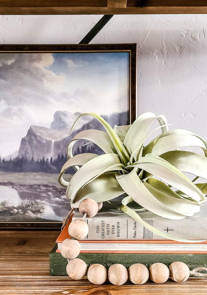 A large faux plant sits on top of a stack of three vintage books.