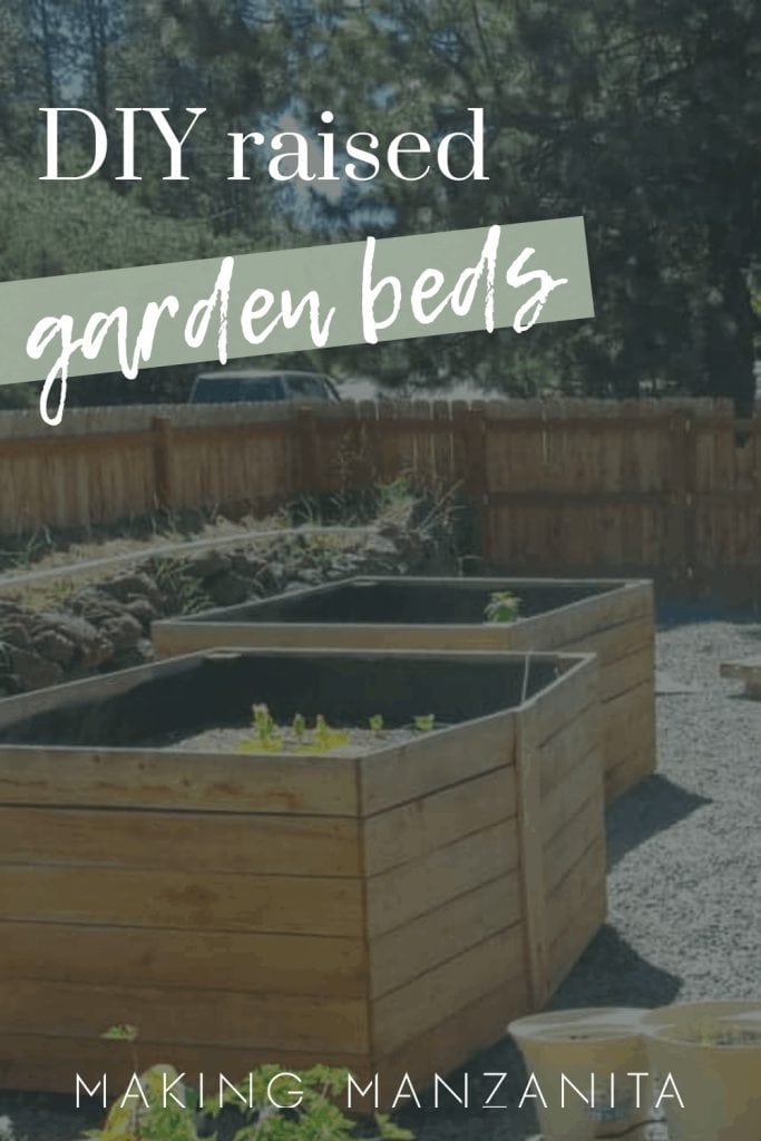 2 DIY cedar raised garden beds in the garden with text overlay that says  DIY raised garden beds and Making Manzanita logo below