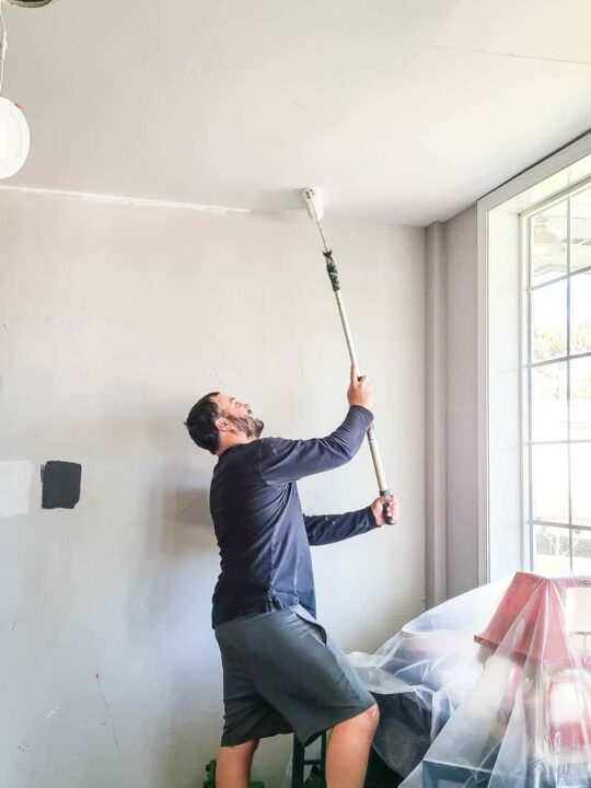 Ceiling paint brush discount