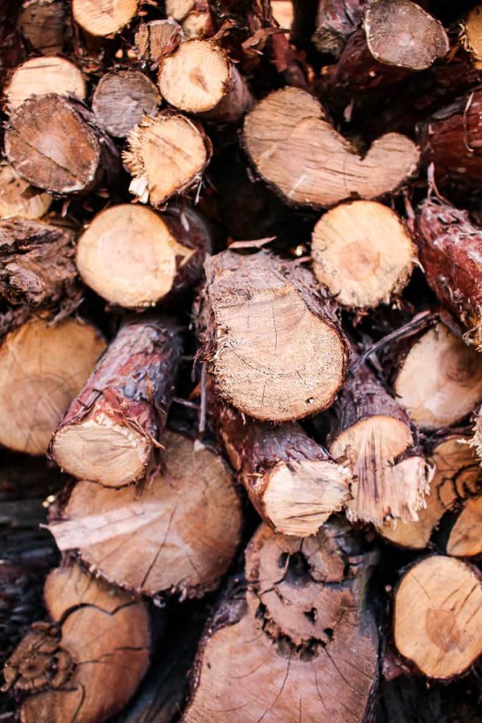 Closer view of piled firewood with end grain shown