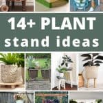 Collage of different plant stand indoors and outdoors with text overlay that says 14+ plant stand ideas