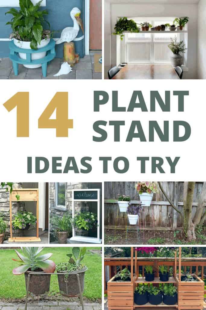 Collage of different plant stand indoors and outdoors with text overlay that says 14 plant stand ideas to try