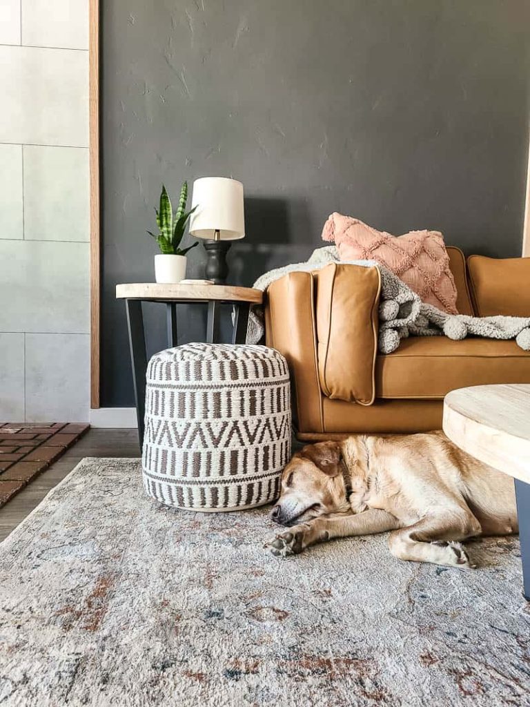 A modern boho living room with a close up of yellow lab dog sleeping on area rug in front of modern light brown sectional from Article Furniture 
