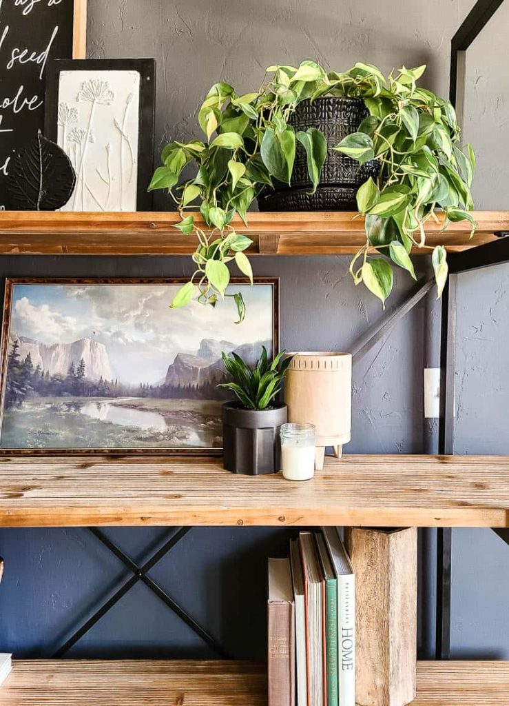 Close up of pothos plant on wood shelf with books and artwork in a modern boho living room.