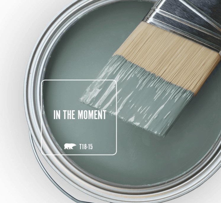 Behr in the moment paint color in can and a paint brush dipped in it