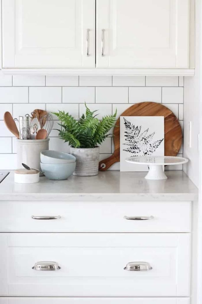 fern art print on kitchen counter