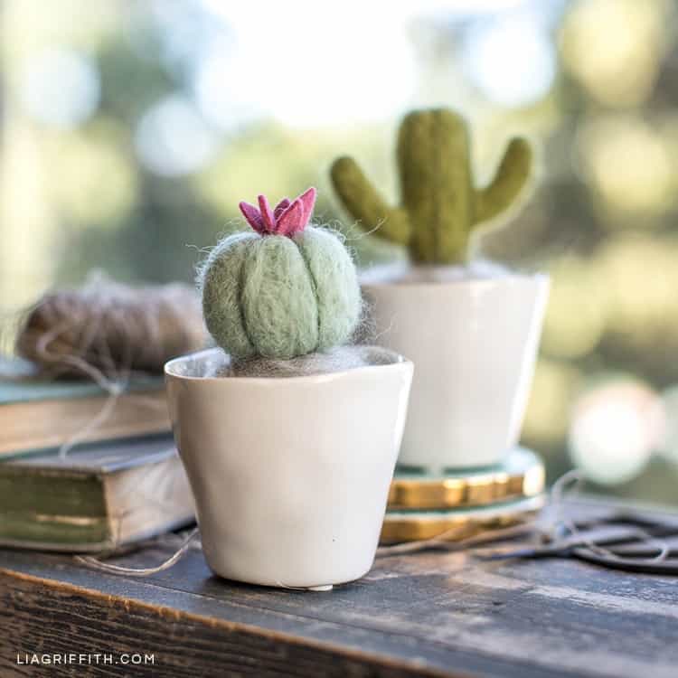 Mini felted cactus in white pot