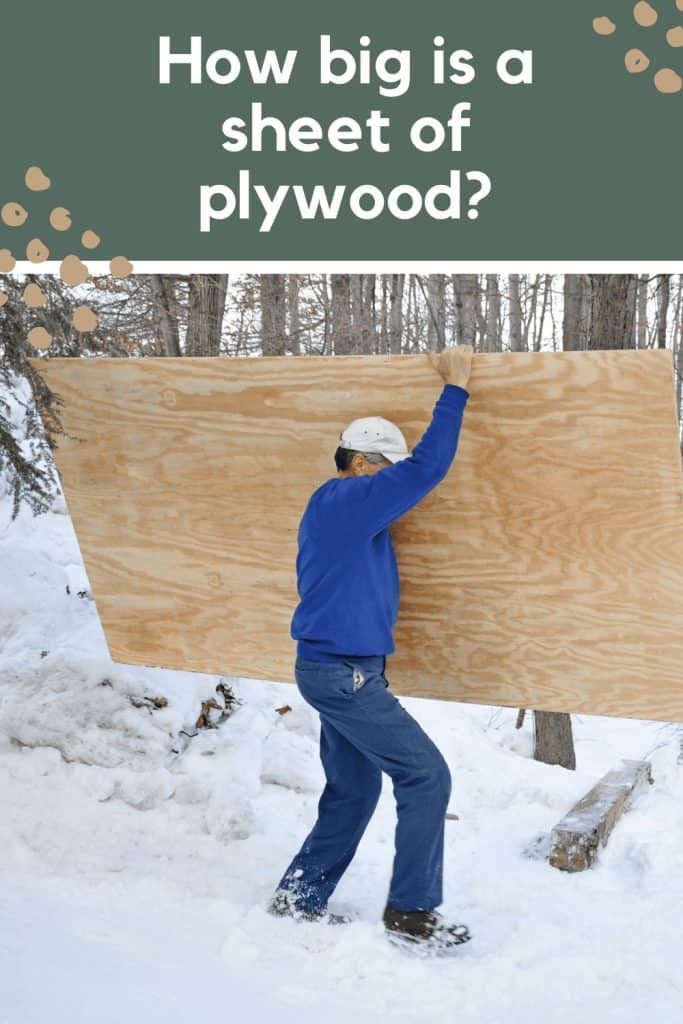 A man wearing jeans and a blue sweater is carrying a large piece of plywood through a snow-covered yard outdoors. Text across the top of the image reads "how big is a sheet of plywood"