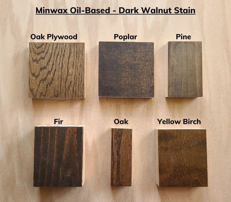 Image comparison of dark walnut stain on wood squares of oak plywood, poplar, pine, fir, oak, and yellow birch.