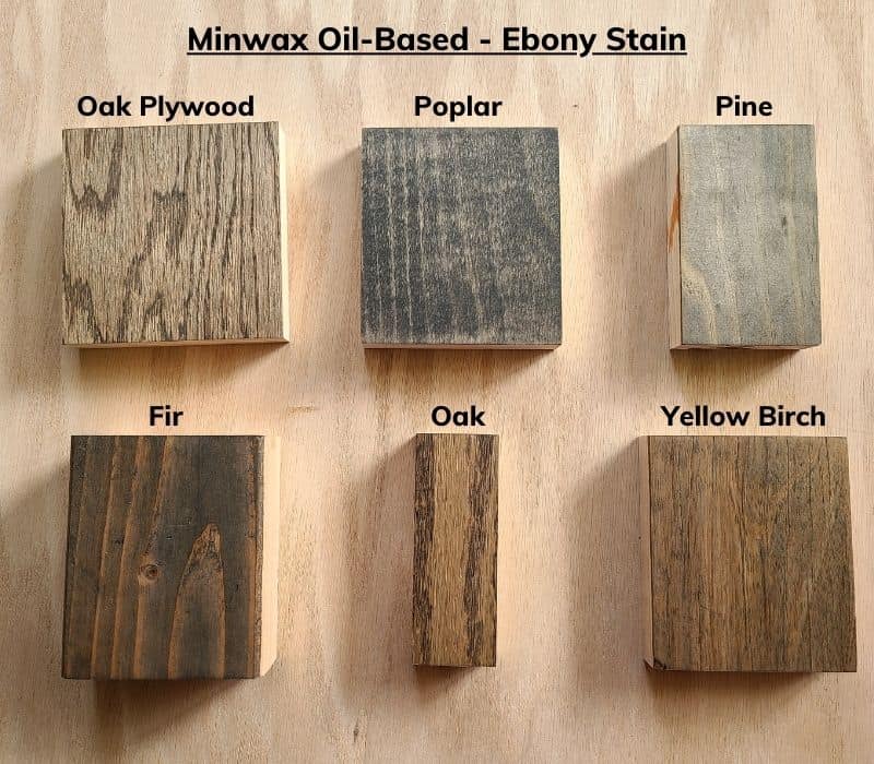 Image comparison of Ebony stain on wood squares of oak plywood, poplar, pine, fir, oak, and yellow birch.