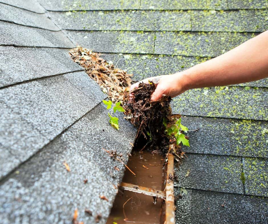 Removing leaves and debris from gutter in the fall will help prevent damage to your rain gutters