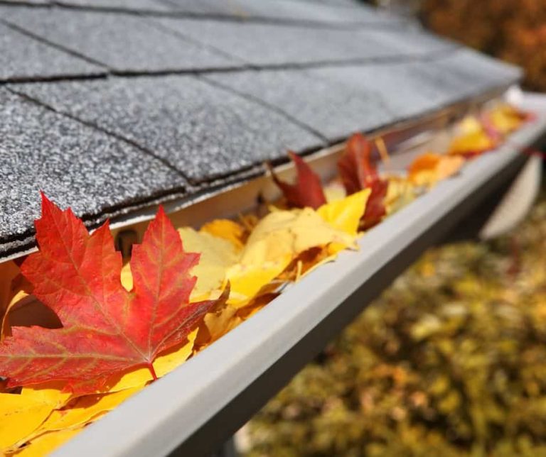 Fall Clean-Up Checklist – Get Your Exterior and Landscaping Ready for Fall and Winter