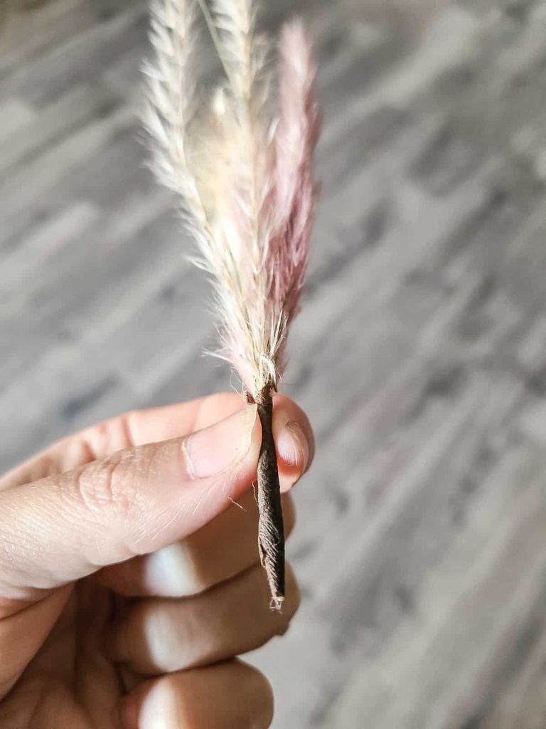 A small bunch of pampas grass wrapped with floral tape at the bottom is a great addition to the DIY stocking tags for boho style