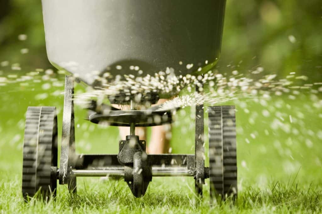 Dont' forget to fertilize your lawn and plants in the spring to carry you through the summer