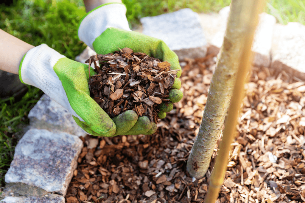 Wood chips make great landscaping mulch and there is a reason why they are the most popular mulch type sold at big box home improvement stores