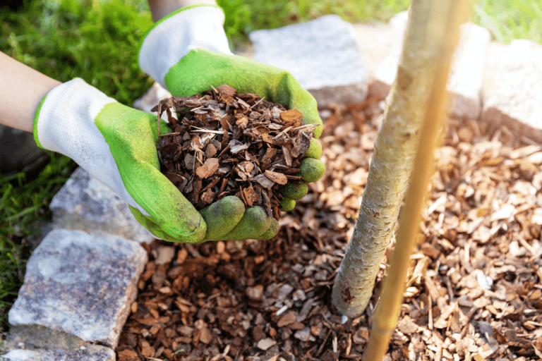 11 Different Types of Landscaping Mulch
