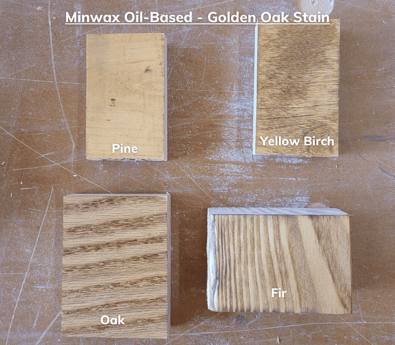 Golden oak stain from minwax on 4 types of wood oak, fir, pine, and yellow birch to show its effects