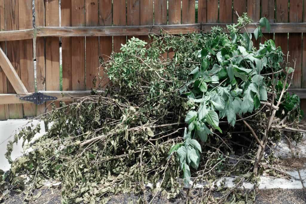 clear away yard debris and pile it up then make a plan to get rid of it but gettin this out of your yard is essential