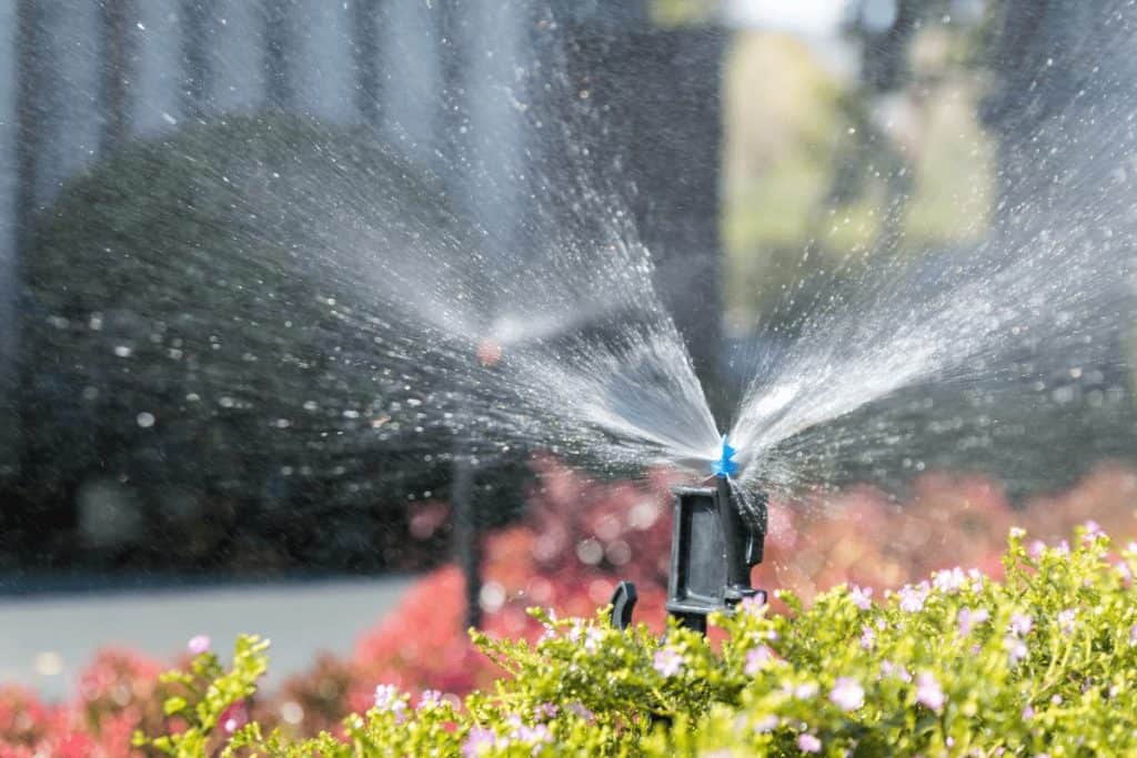 The biggest part of spring yard clean up is turning on your sprinklers. once your yard is clear of debris you want the new to grow