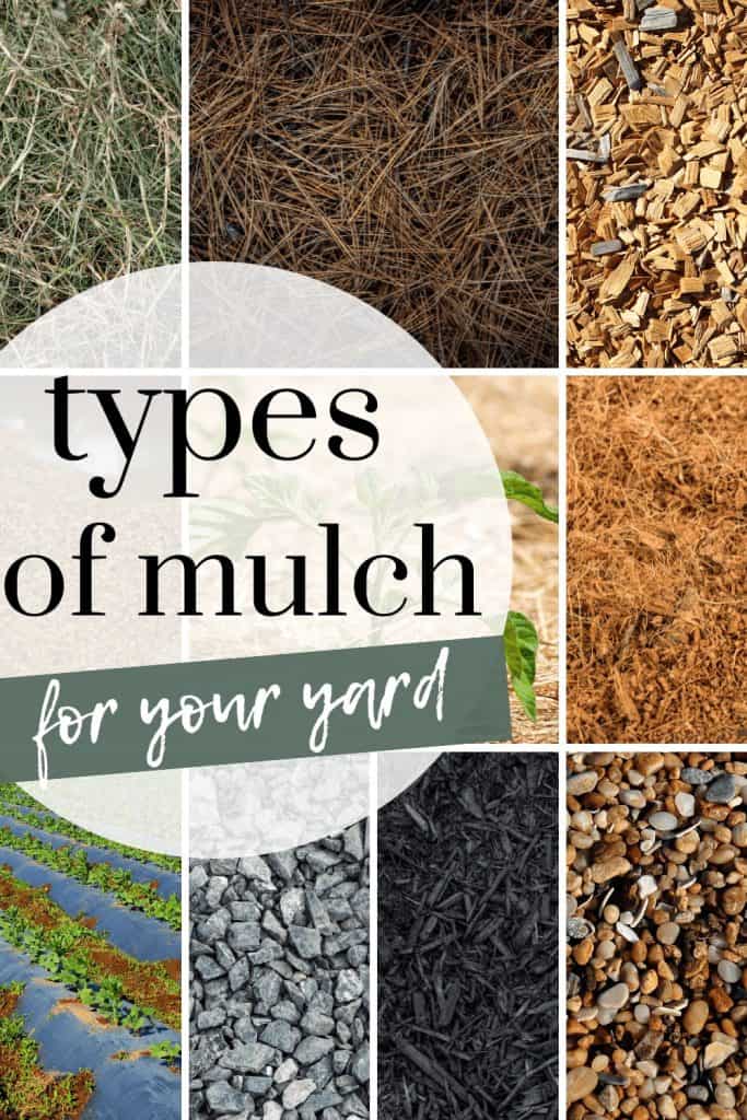 Spring is also usually the time that you replenish mulch, so here's guide for you to learn more about 11 types of landscaping mulch. 