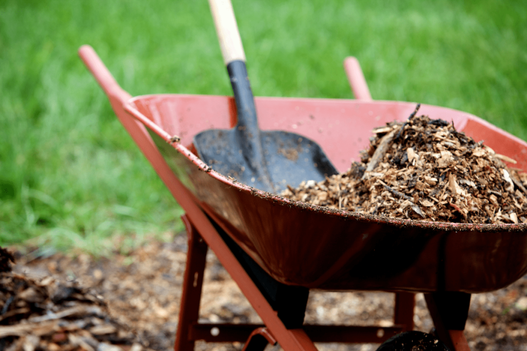 Bark and wood chips are perennial favorites as mulch. This is definitely, by and large, the most popular type of landscaping mulch.