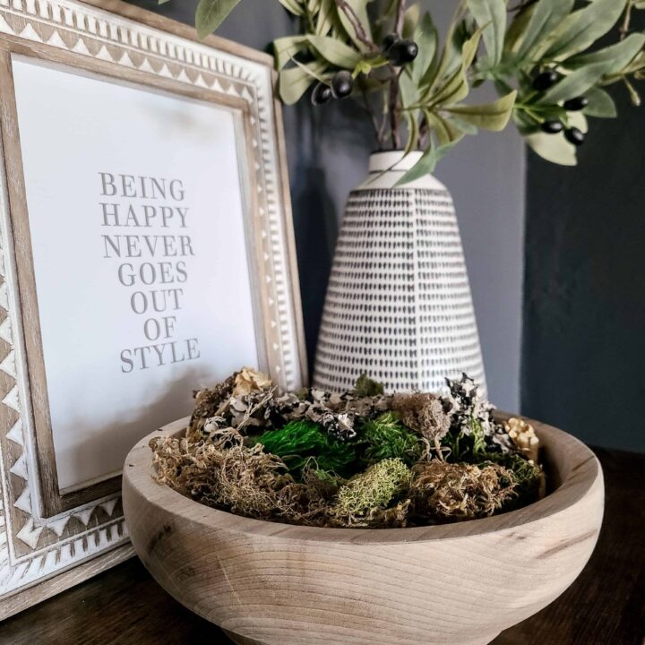 How To Make A DIY Moss Bowl