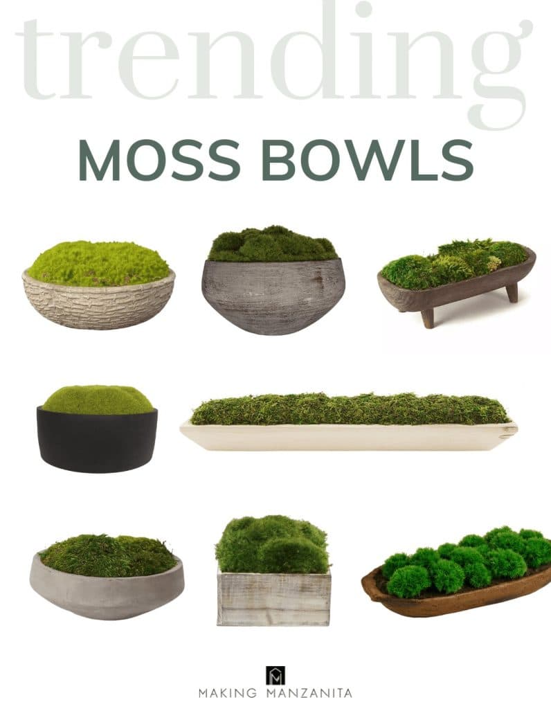 Collage of moss bowls available for purchase from retailers with text overlay that says Trending: Moss Bowls